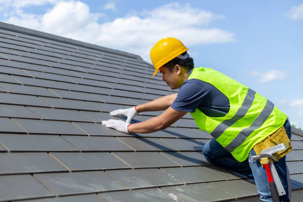 Best Roof Insulation Installation  in Jekyll Island, GA