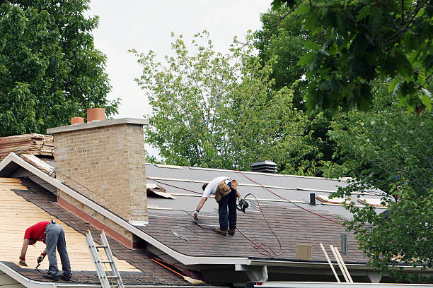 Best Roof Maintenance and Cleaning  in Jekyll Island, GA