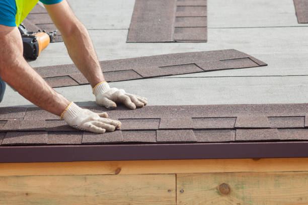 Best Gutter Installation and Repair  in Jekyll Island, GA